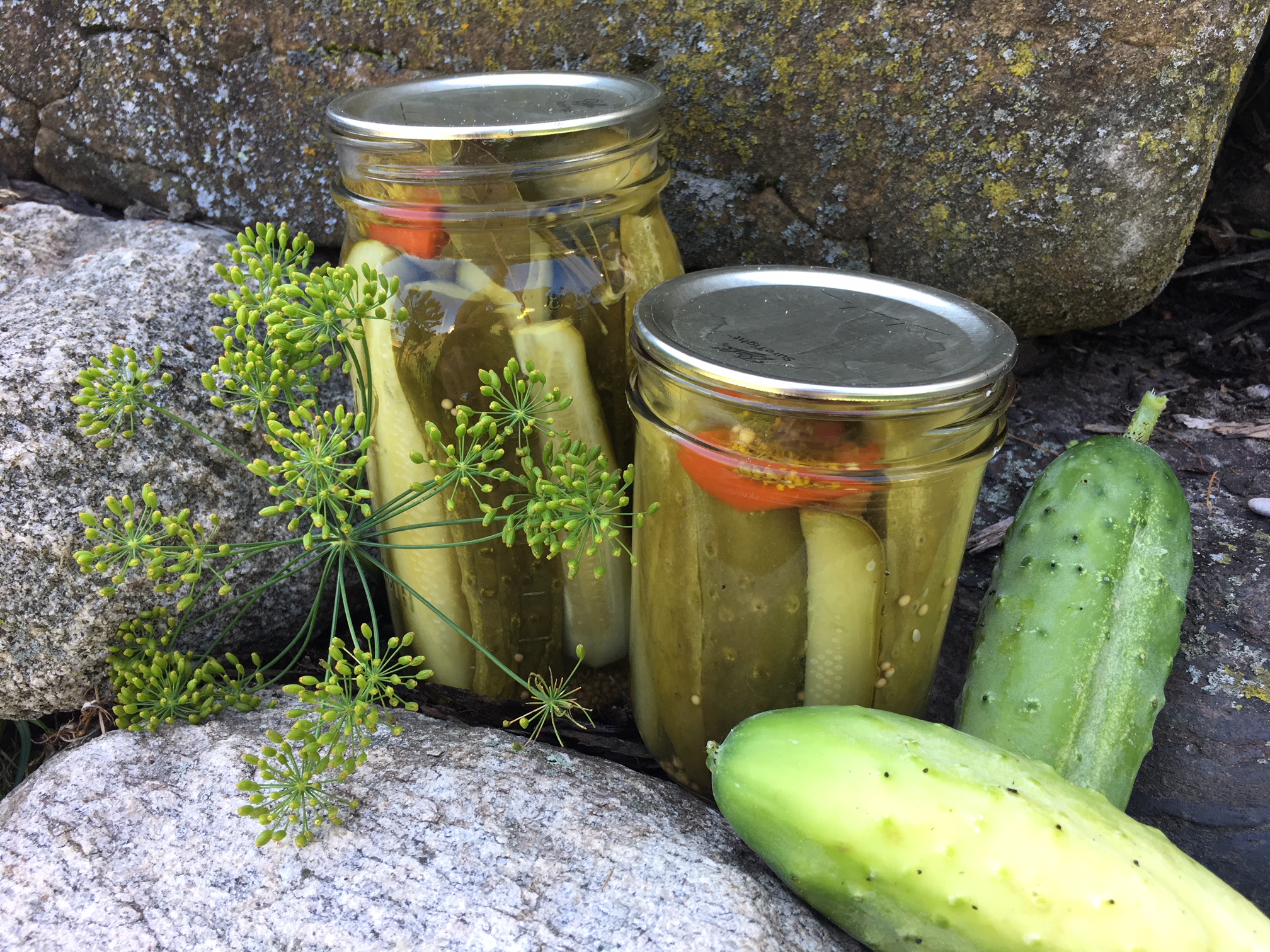 Dill Pickle Relish- Easy Canning Recipe | Canning Recipe